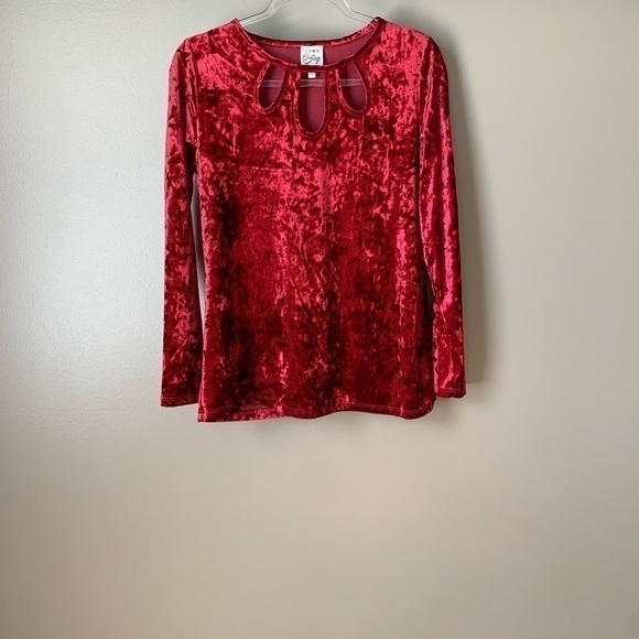 COMO Vintage Red Crushed Red Velvet A-Line Tunic - Picture 4 of 12